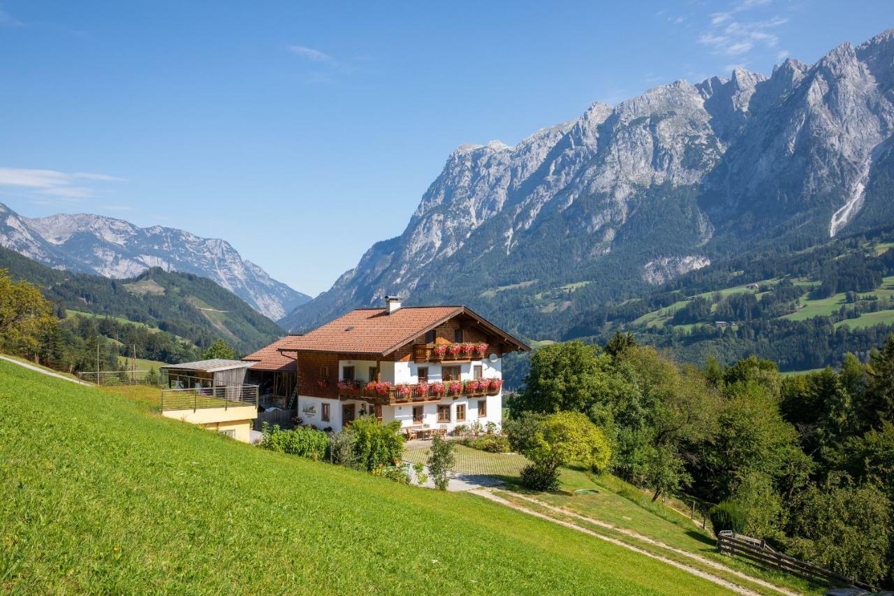 Appartement Unterschwabegghof à Werfen Extérieur photo