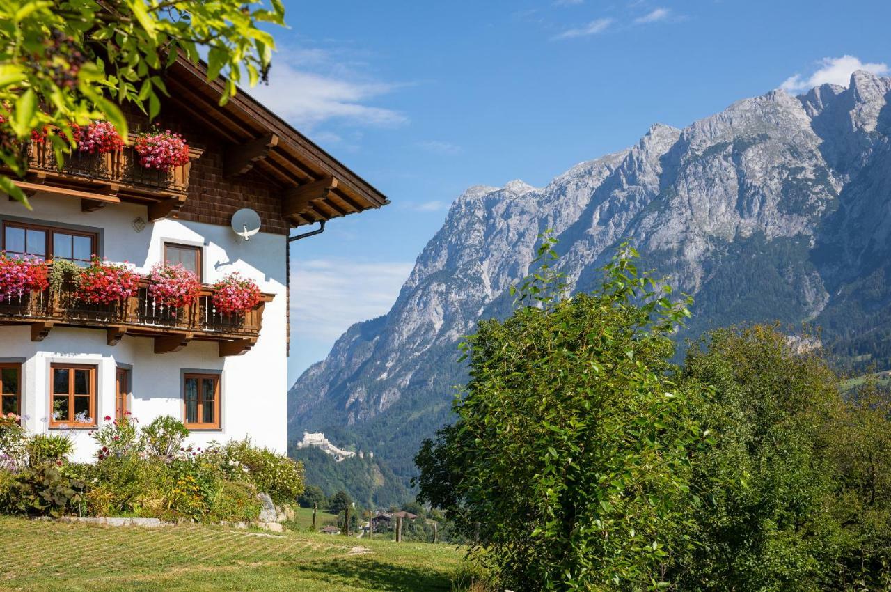 Appartement Unterschwabegghof à Werfen Extérieur photo